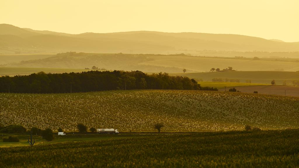大草原を貫く幹線道路。巨大なトラックも小さな存在に見えるスケール感はこの地ならでは。「もや」と夕日の光が産み出す奥行き感を表現することを優先して露出を設定する。RAW現像前提で露出アンダーで撮影しておき、現像ソフトCapture OneによるRAW現像時にその場の雰囲気を思い出すための適正露出付近の写真を別に撮影しておくと作品作りがはかどる。この際にはJPEGだけで十分なので、カメラ内のHDR撮影やダイナミックレンジオプティマイザーを積極的に活用したい。
