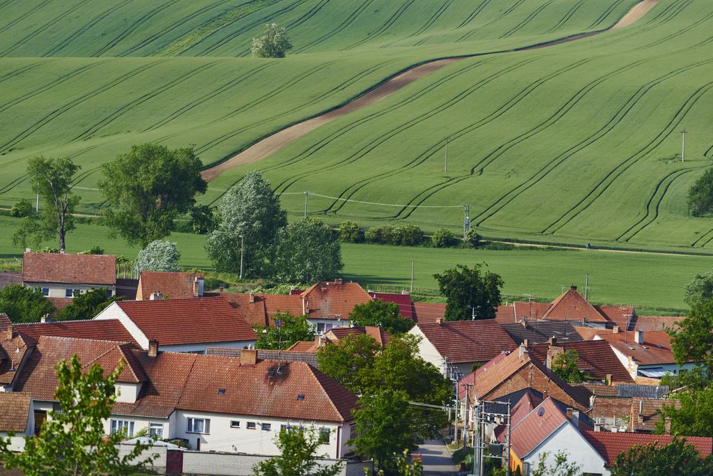 街のすぐ外には大草原が広がっている。観光客から見れば大草原に見えるが、地元の住民にとっては農作物の畑であることが分かる。