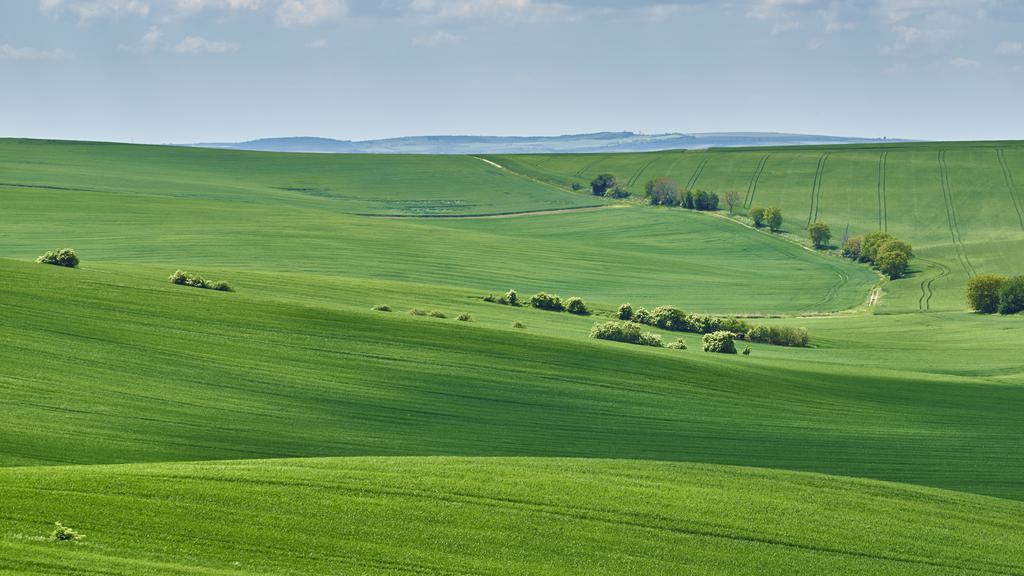 展望スペースは小高い丘にあることが多いので、草原を俯瞰する構図の写真が撮影出来る。