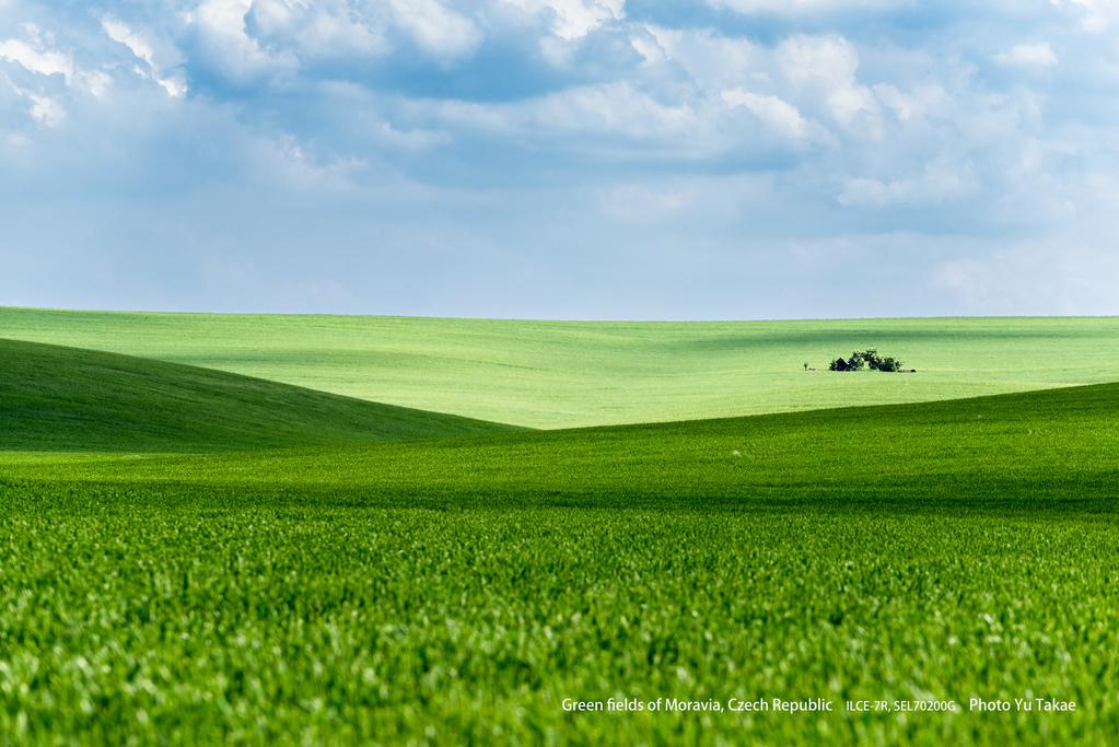 シャッターチャンスは一瞬。構図決めに使える時間が限られているときのために自分なりの定石を持っておくことも重要になる。私の場合は、丘陵の織り目が中心部に構図を定石としている。織り込むところから先は急斜面になっているため、その奧と手前でコントラストを作りやすいと想像した。さらに草原全体の広さを表現するために、空を大きく取り入れた。