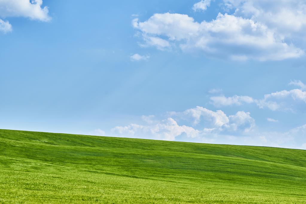 日差しの強さや角度によって草原の色も変化する。人それぞれの「ベスト」があるのが写真の面白さでもある。