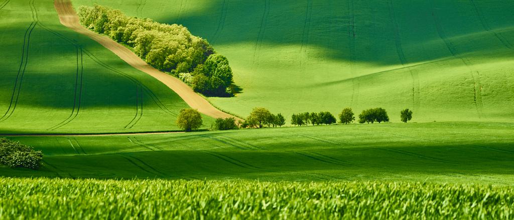 お気に入りのSA135F18Zを使い、通常よりもかなり横長にトリミングをすることを前提に構図を決めた。トリミング前の写真は、左手に見える車道のすぐ上に奧にある丘陵が写っており、さらにその上には空が広がっている。奧にあるものを大胆にトリミングすることで、車道が写真の遙か上まで繋がっているというイメージを意識して撮影した。