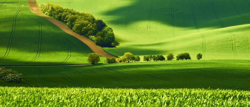 数秒後の写真です。少しだけでも陰影が変わることで、全く異なる写真になる。0.5EVから1EV程度露出アンダーで撮影しておくことで、影の部分の階調を後から復元しやすくなる。