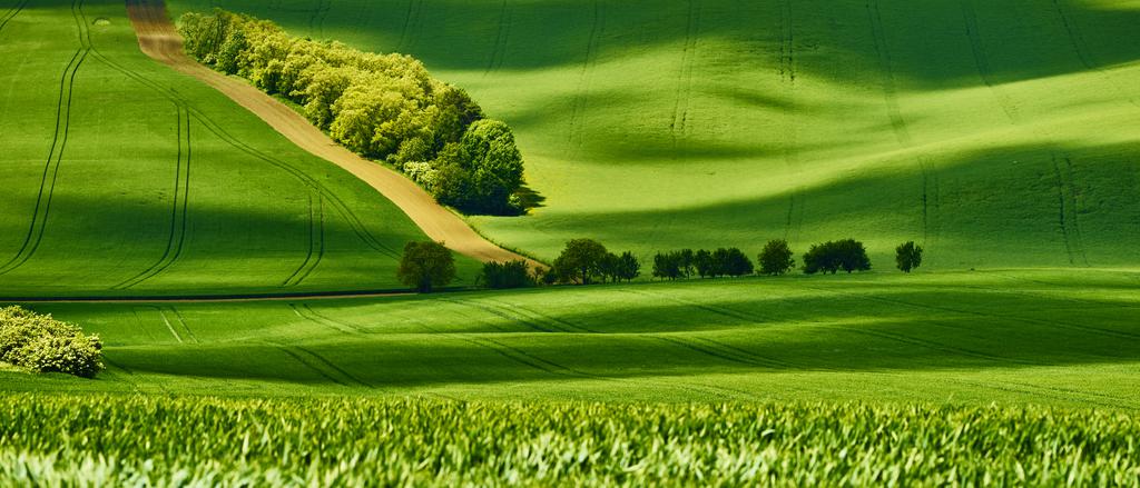 数十秒後の写真。非常に繊細な表情。３枚とも甲乙をつけられず、全て掲載することにした。